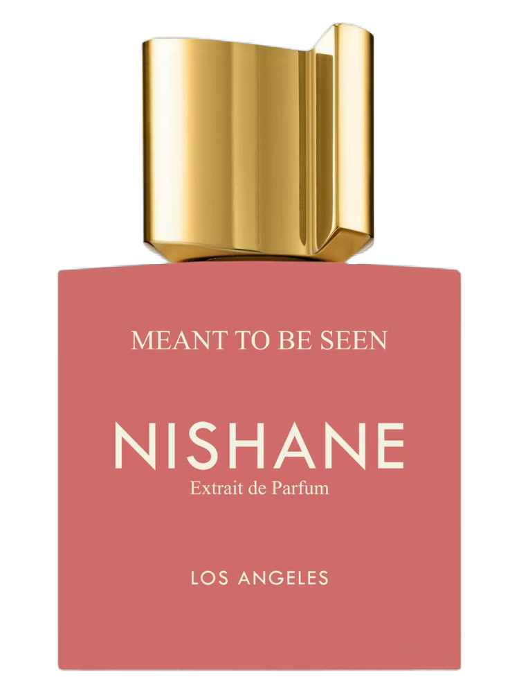 Meant To Be Seen Nishane - Extrait de Parfum