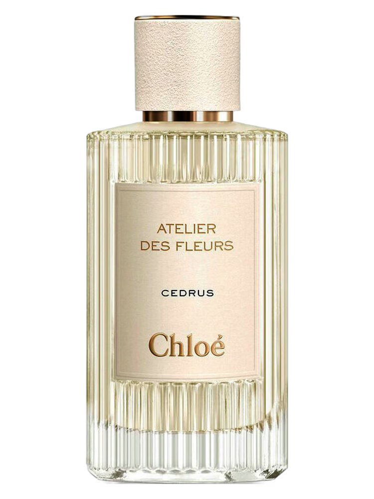 Cedrus Chloé - Eau de Parfum
